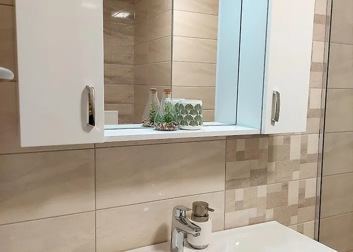 Art Sense мезонет שקורפילובצי